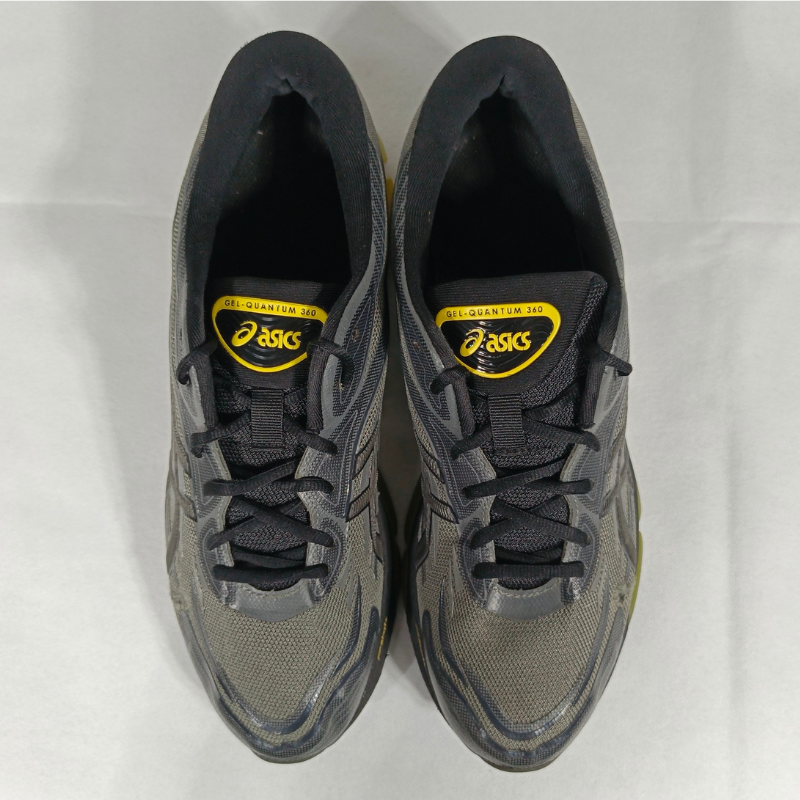 Asics Gel-Quantum 360 VIII