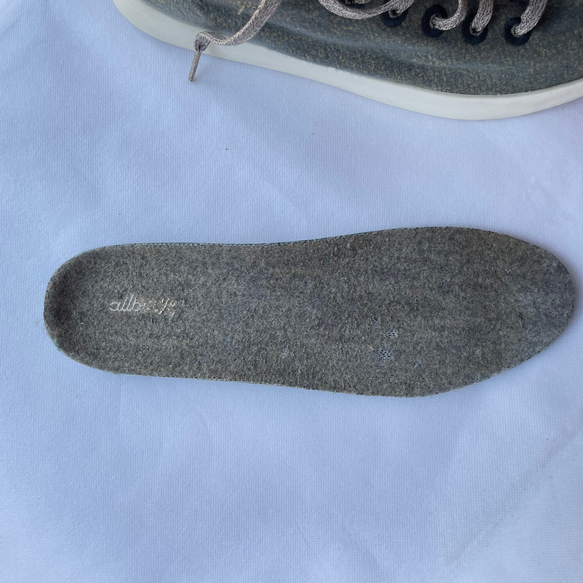 Allbirds Wool Piper