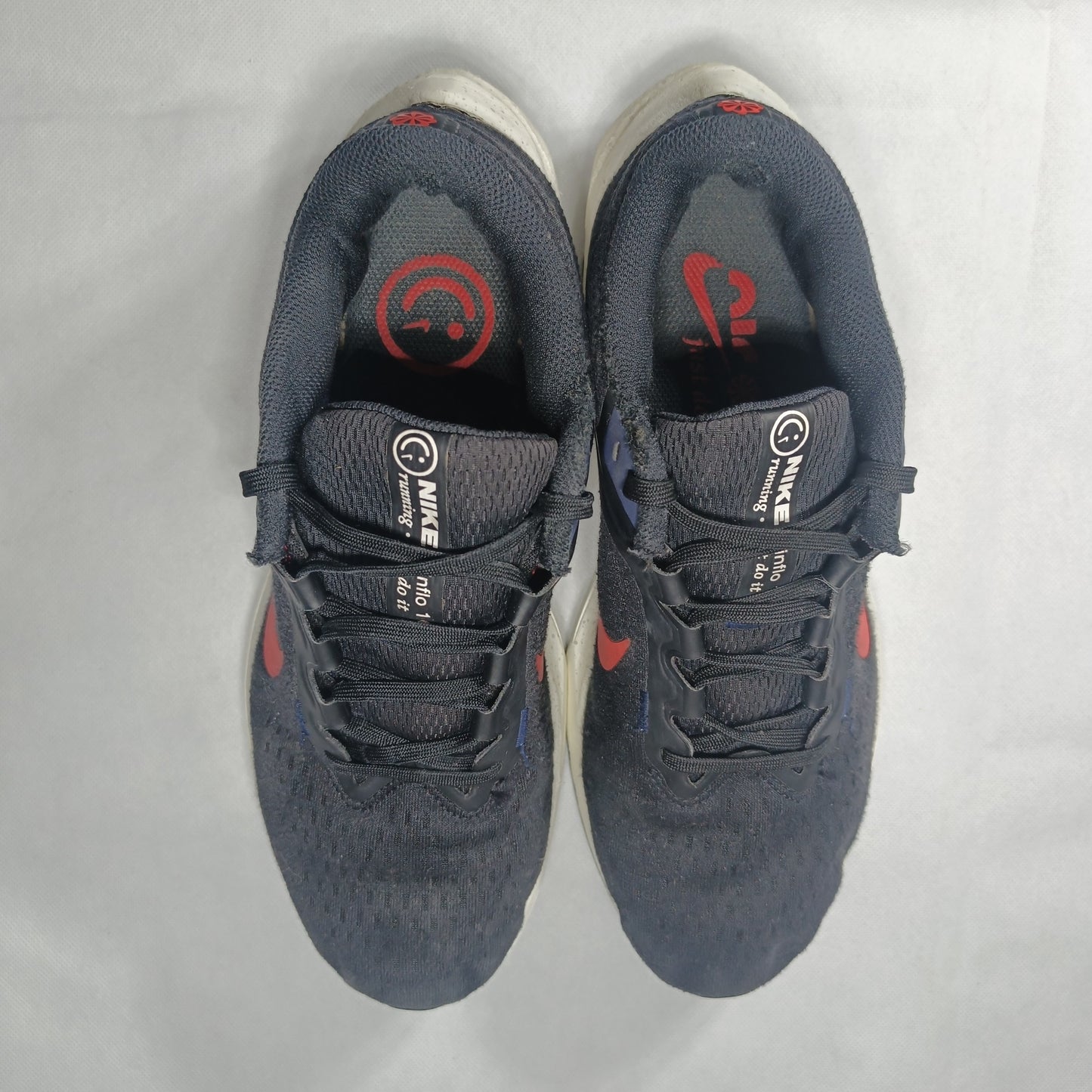 Nike Air Winflo 10